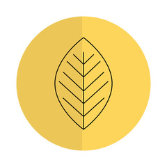 leafs plant ecology icon vector illustration design