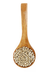white peppercorn in wooden spoon isolated