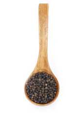 black peppercorn in wooden spoon isolated
