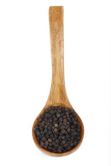 cubeba in wooden spoon isolated