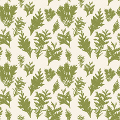 Vector seamless pattern with thuja branches.