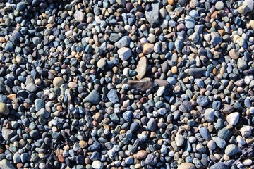 Multiple shapes and types of beach pebbles