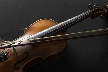 Plakat Old violin on a black background