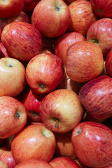 Beet, ripe, red apples in a box.