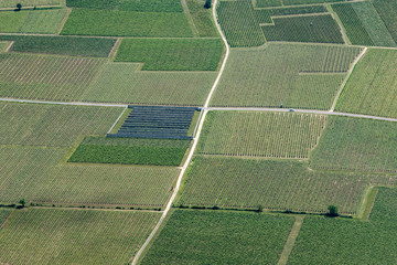 Vue aérienne de vignes dans le Pays de Loire - France