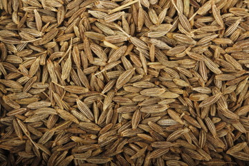 cumin (caraway) background