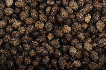 seeds of paw paw background