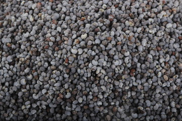 poppyseed background