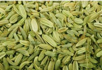 seeds of fennel background