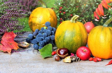 herbststimmung im garten