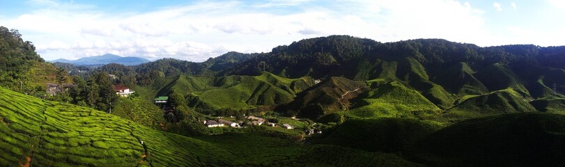 Cameron Highlands