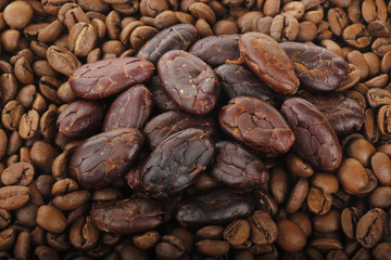 cacao and coffee background