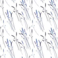  Vector floral seamless pattern with realistic lavender flowers .
