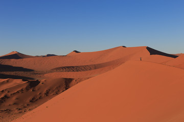 Plakat Man on sand dune in desert during sunrise. Sossusvlei, Namib Naukluft National Park, Namibia