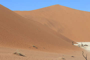 Big Daddy Dune at Sossusvlei. Namib-Naukluft National Park, Namibia, Africa