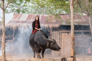 The lives of women with buffalo in the countryside,Asian girl wearing traditional Thai dress at farmland.