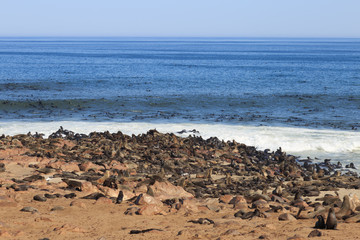 Fototapeta na wymiar Cape Cross seal colony in Namibia, Africa