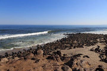 Cape Cross seal colony in Namibia, Africa