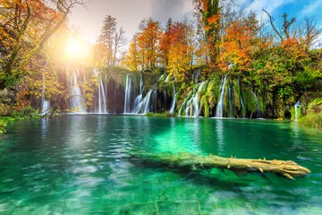 Foto op Plexiglas Kleurrijk herfstlandschap met watervallen in Nationaal Park Plitvice, Kroatië © janoka82