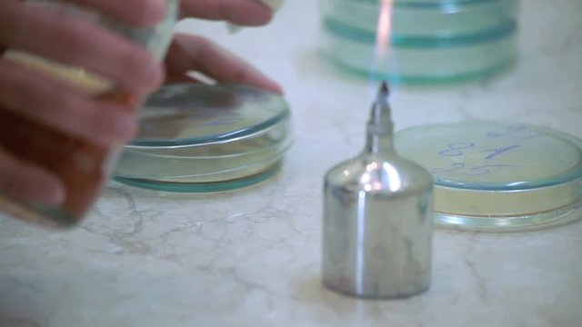 Laboratory testing. Close up of female hands pouring liquid in lab glassware. Laboratory research. Candle flame in laboratory experiment. Pouring liquid from reagent bottle