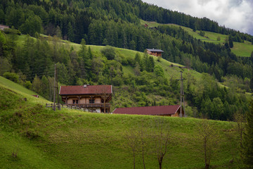 Idyllic landscape in the Alps in springtime with traditional mountain chalet and fresh green mountain pastures with blooming flowers on a beautiful sunny day. Austria, Europe.