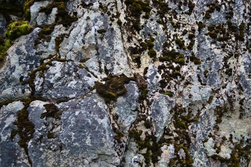Landscape, Texture, nature,  Clouds,  a rock,  water,  Flowers