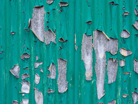 Peeling/flacking green paint on a tin door
