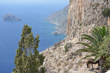 Falaises d'Amorgos dans les Cyclades