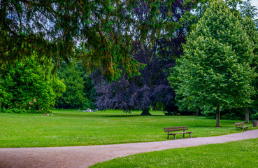 Two empty rustic wooden benches alongside a path or walkway in a tranquil verdant spring park with leafy green trees