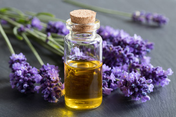 A bottle of essential oil with fresh lavender twigs