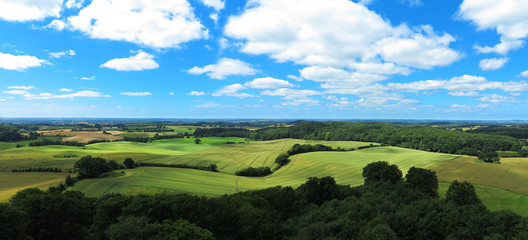 Landschaft mit Hügeln und Getreidefeldern Panorama