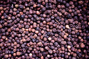 Fresh spicy peppercorns picked from a nearby farmer's yard.
