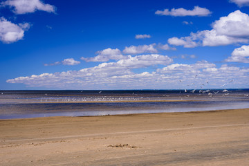 Fototapeta na wymiar The beautiful sandy beach on the Gulf of Finland, Sestroretsk, Leningrad oblast, Russia.