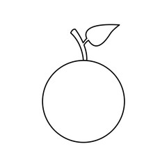 orange fruit nutrition diet vitamins