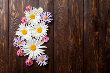 Obraz premium Garden flowers