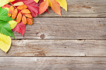 Naklejka na ściany i meble Autumn wooden background