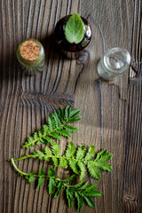 Alternative medicine. Store up medicinal herbs. Herbs in glass on wooden table background