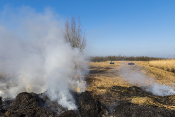 Cane Burning Giethoorn