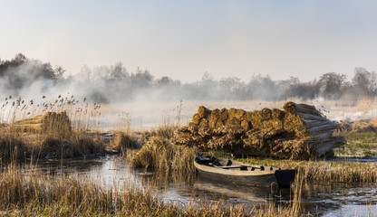 Cane with Boat Giethoorn