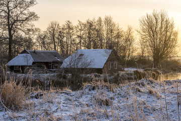 Farms in wintertime in Wieden-Weerribben