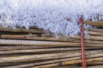 Hoarfrost on Cane with Rope