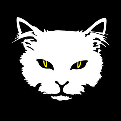Obraz premium white cat with yellow eyes