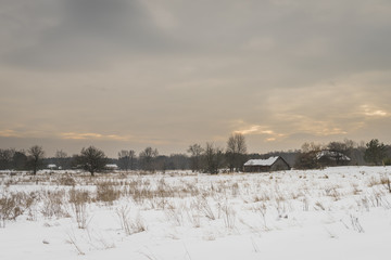 Radioactive Landscape Chernobyl Ukraine