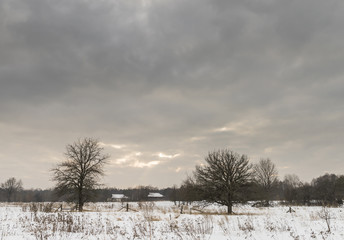 Radioactive Landscape Chernobyl