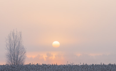 Sunrise in Weerribben-Wieden