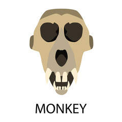 Skulls of animals flat icon set