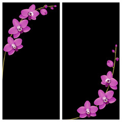 Curved branch of an orchid. Realistic vector illustration isolated on black background. Greeting card with  place for your text.