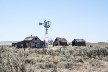 Ramshackle Farm 2