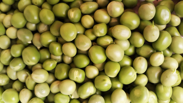 green peas -  harvest