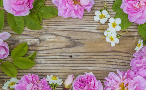 pink roses flrame on rustic wooden background
